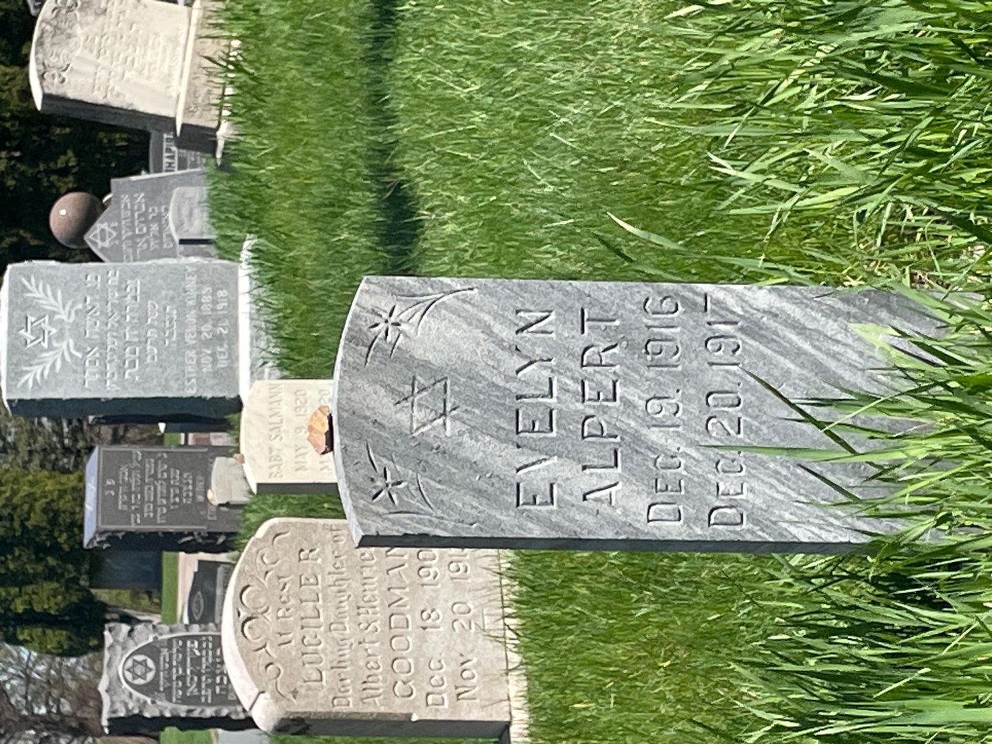 Evelyn Alpert's grave. Photo 1