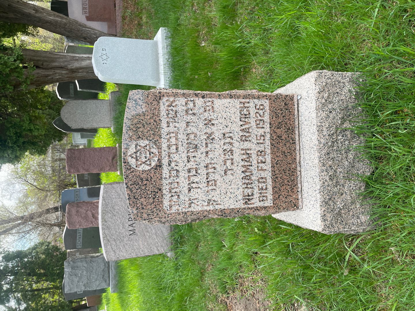 Nehamah Ravich's grave. Photo 1