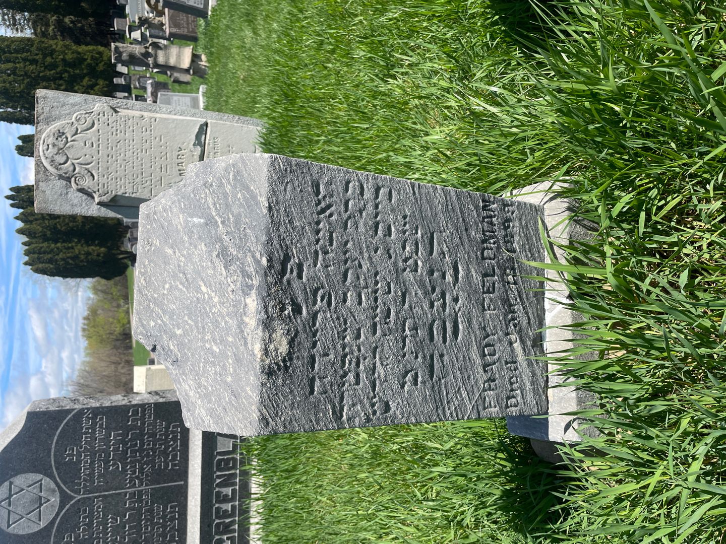 Frady Feldman's grave. Photo 1