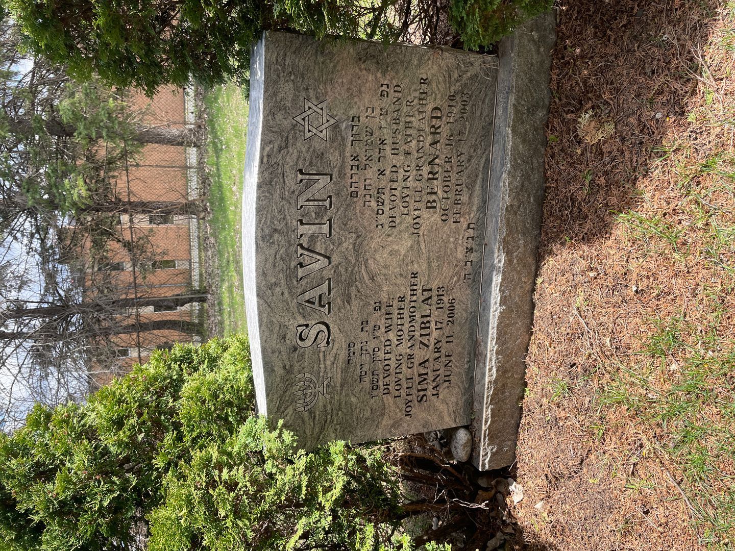 Sima Ziblat Savin's grave. Photo 1