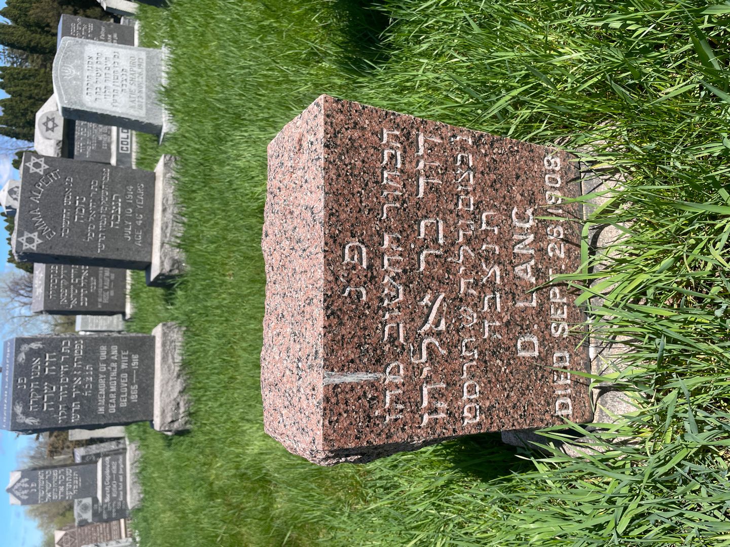 D. Lang's grave. Photo 1