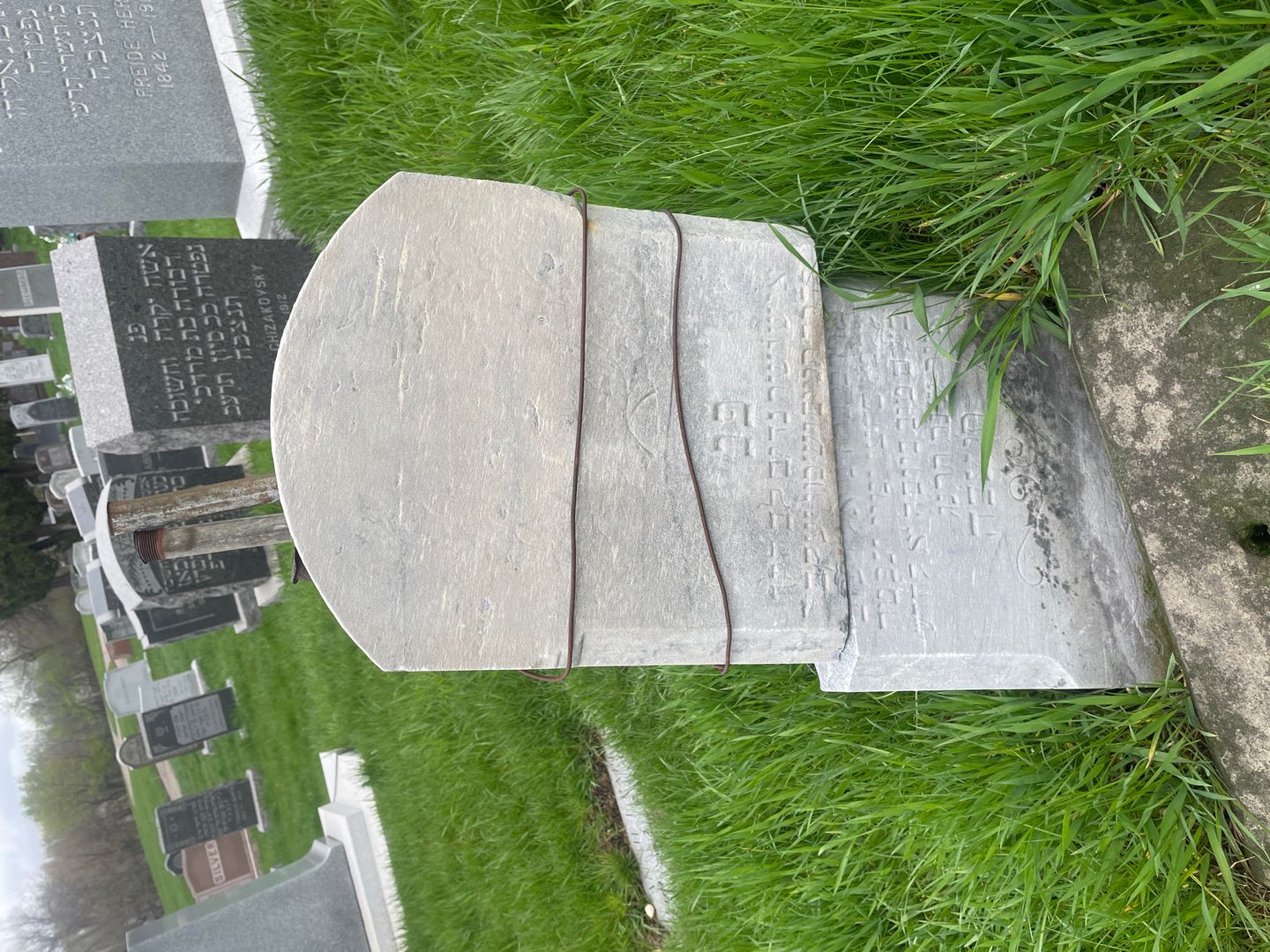 Samuel Jacob's grave. Photo 1