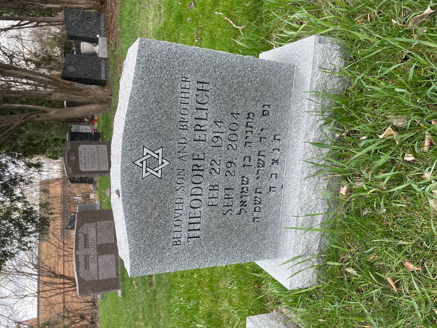Theodore "Ted" Erlich's grave. Photo 1