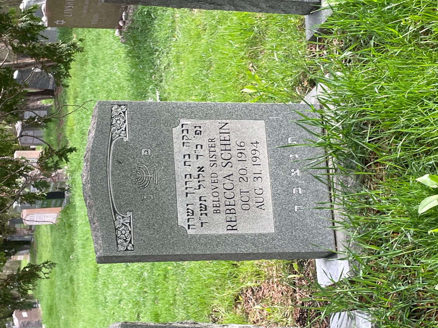 Rebecca Schein's grave. Photo 1