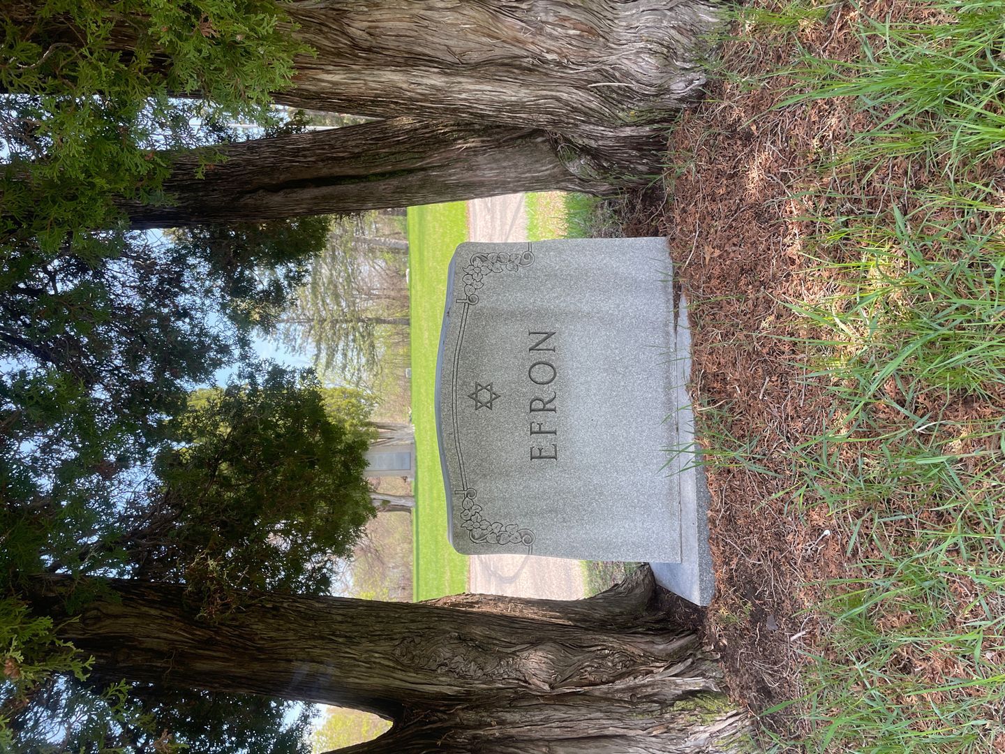 Joseph Efron's grave. Photo 1