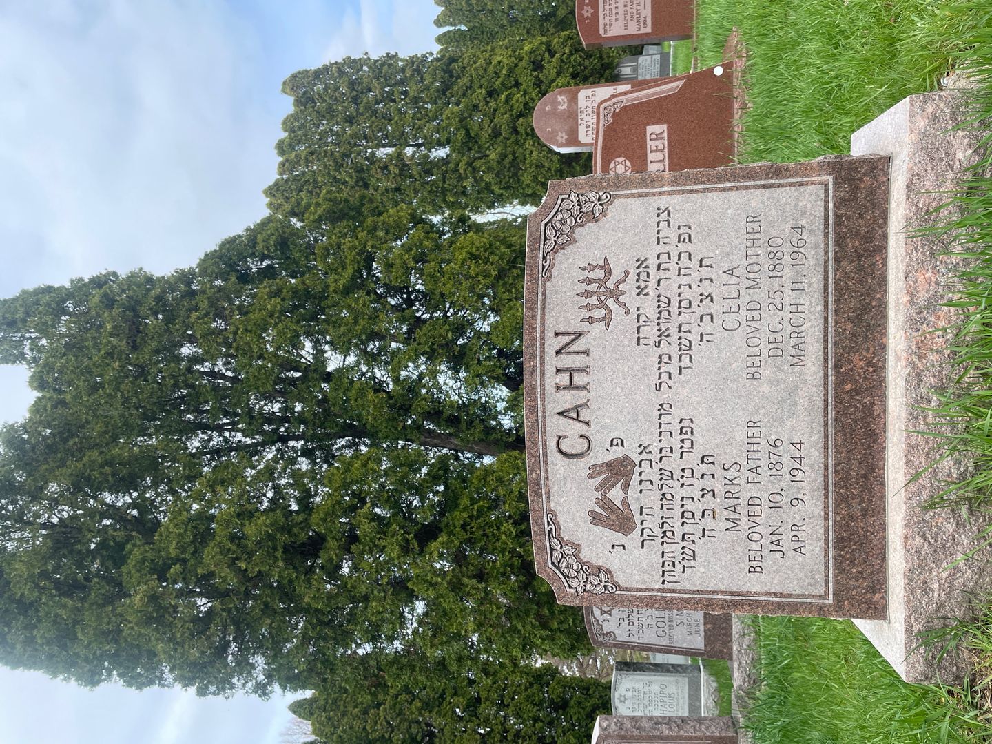 Celia Cahn's grave. Photo 1