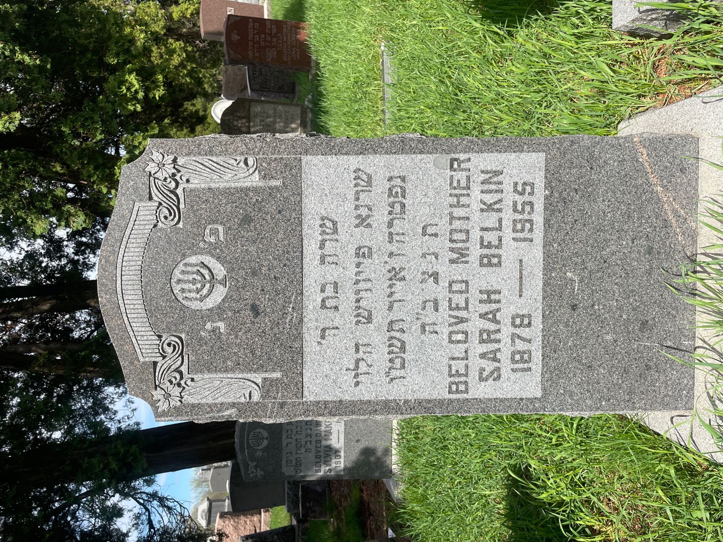 Sarah Belkin's grave. Photo 1
