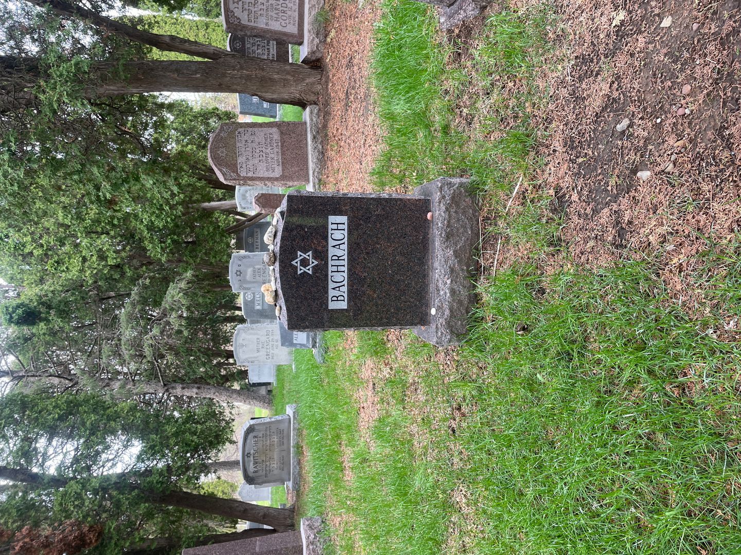 Jerome Bachrach's grave. Photo 1