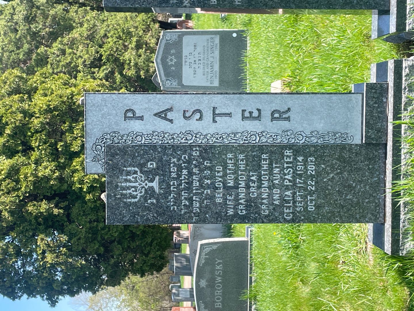 Celia Paster's grave. Photo 1