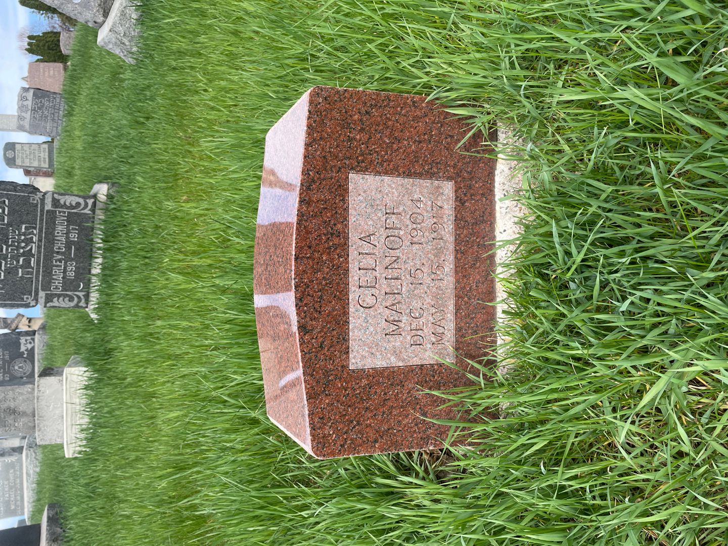 Celia Malinoff's grave. Photo 1