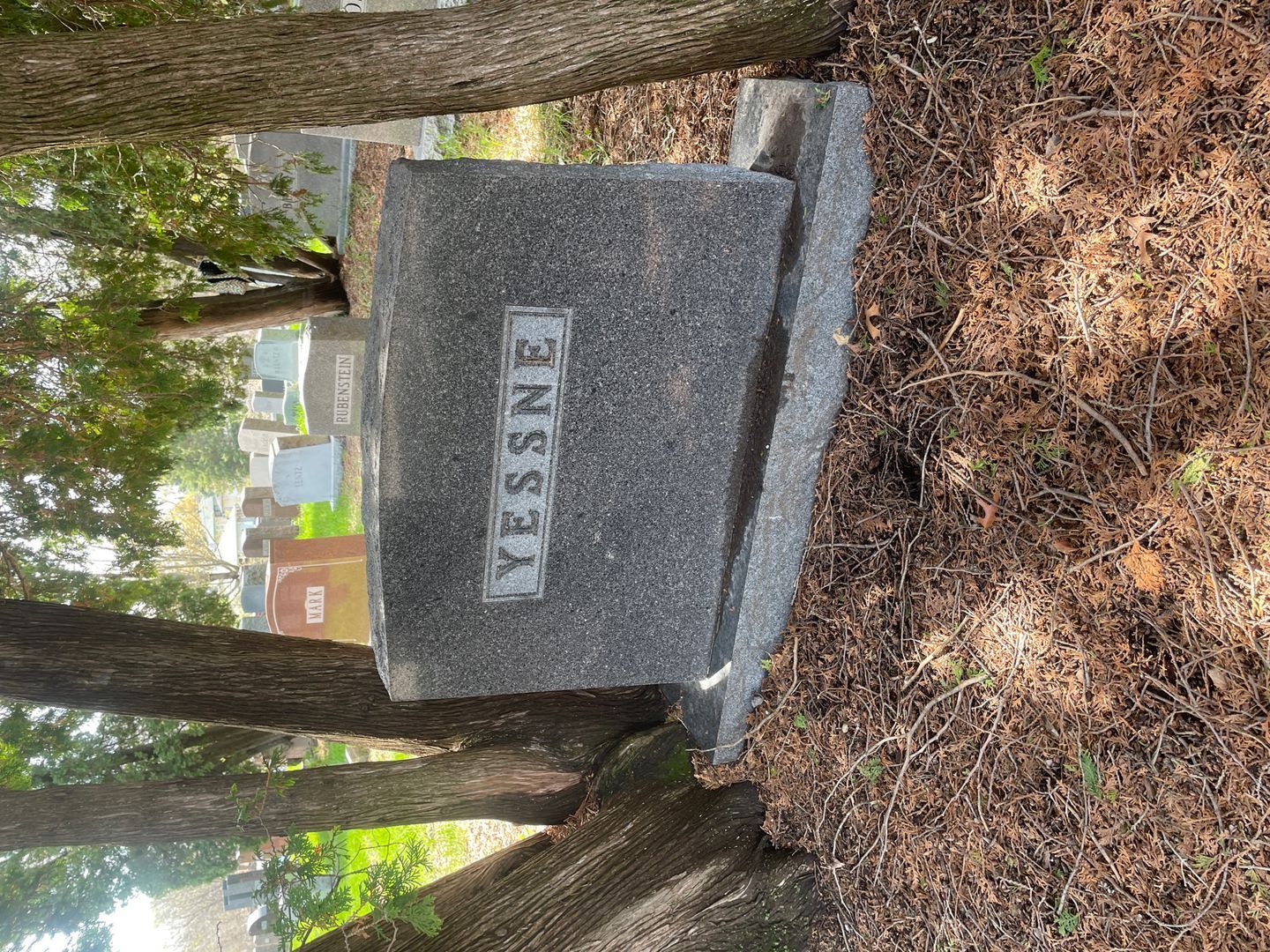 Sue Yessne's grave. Photo 1