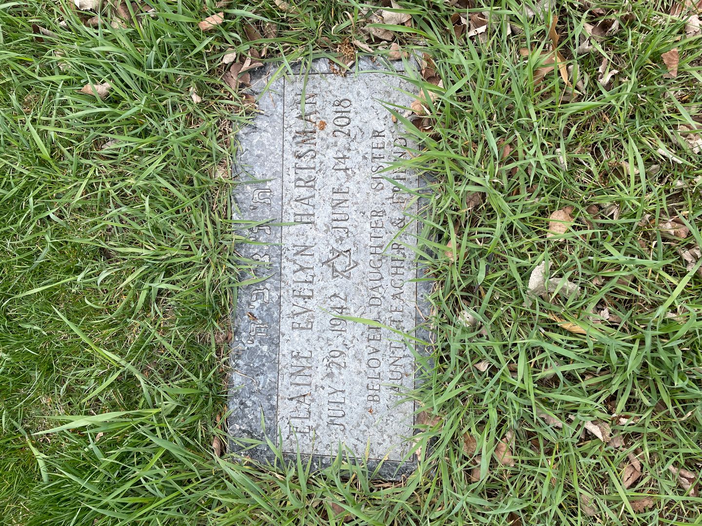 Elaine Evelyn Hartsman's grave. Photo 1