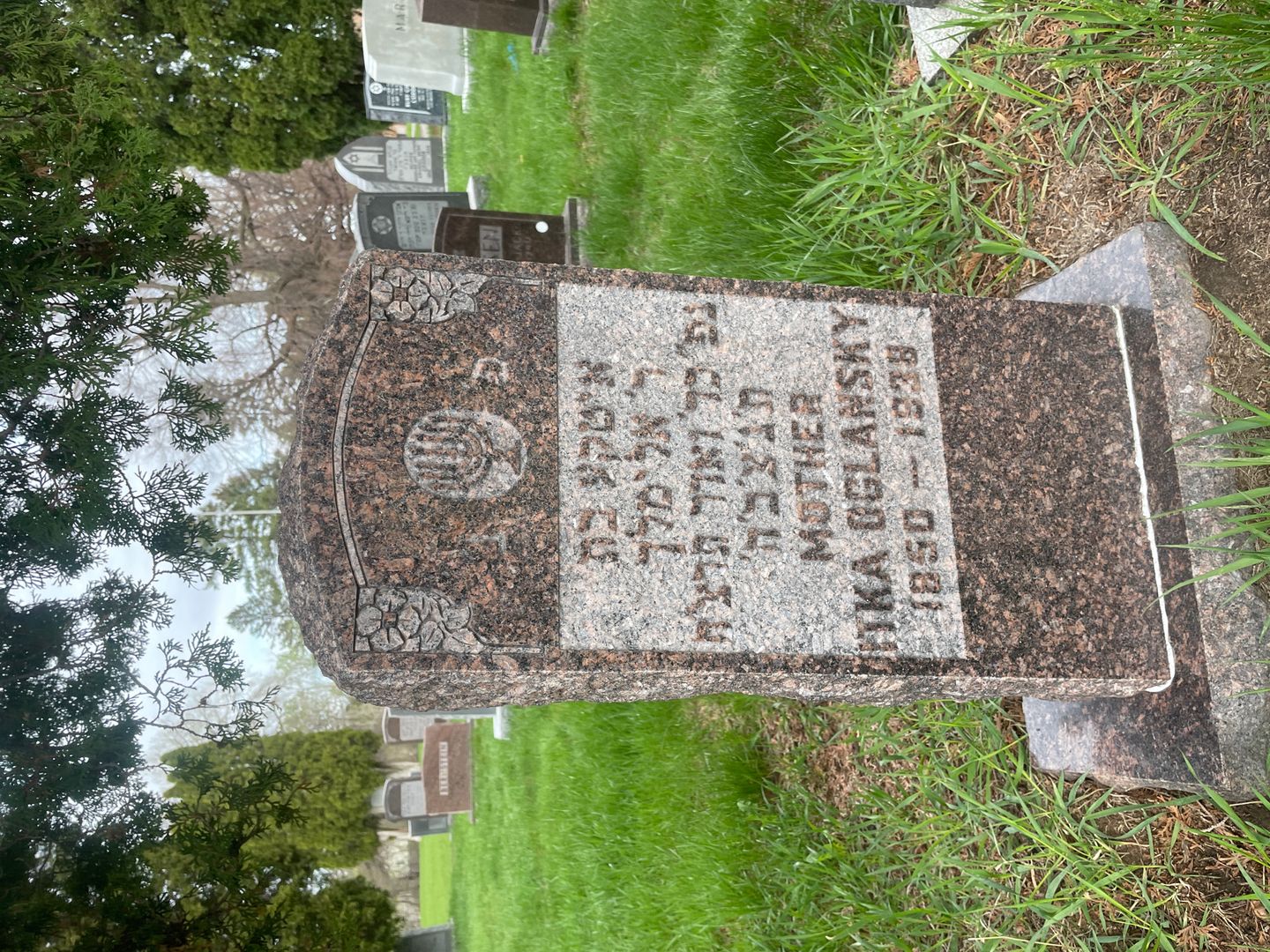 Ilka Oglansky's grave. Photo 1