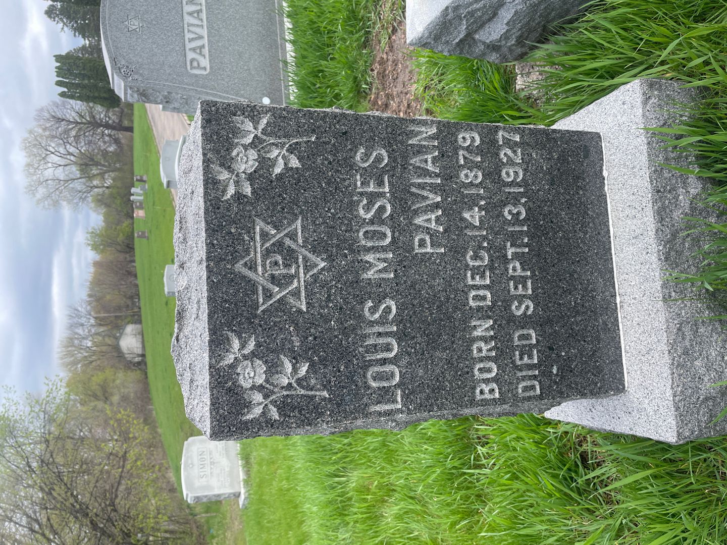 Louis Moses Pavian's grave. Photo 1