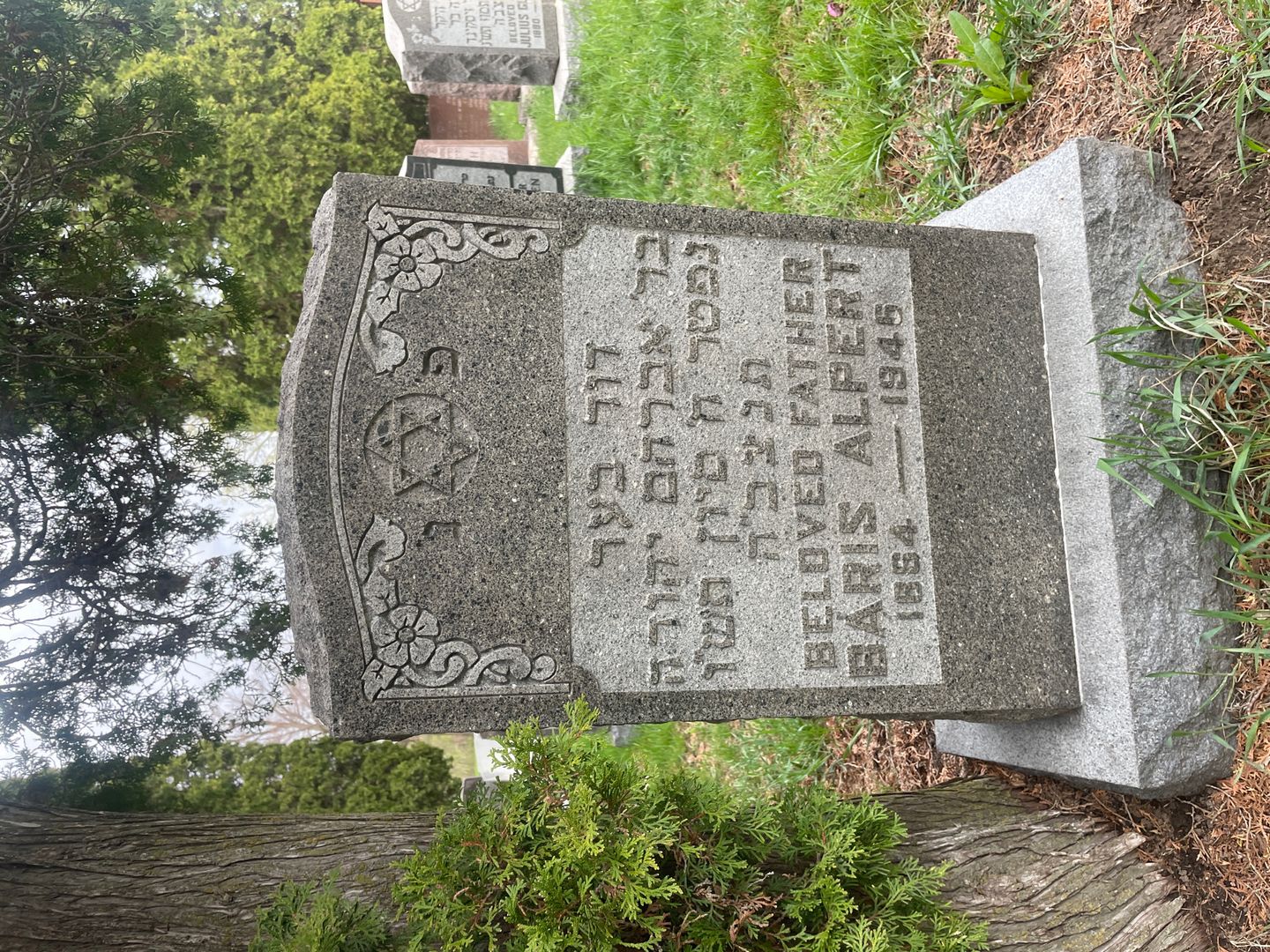Baris Alpert's grave. Photo 1