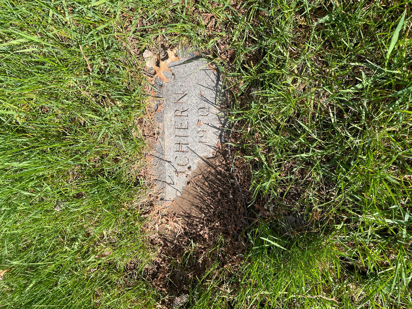 Fannie Schiern's grave. Photo 1