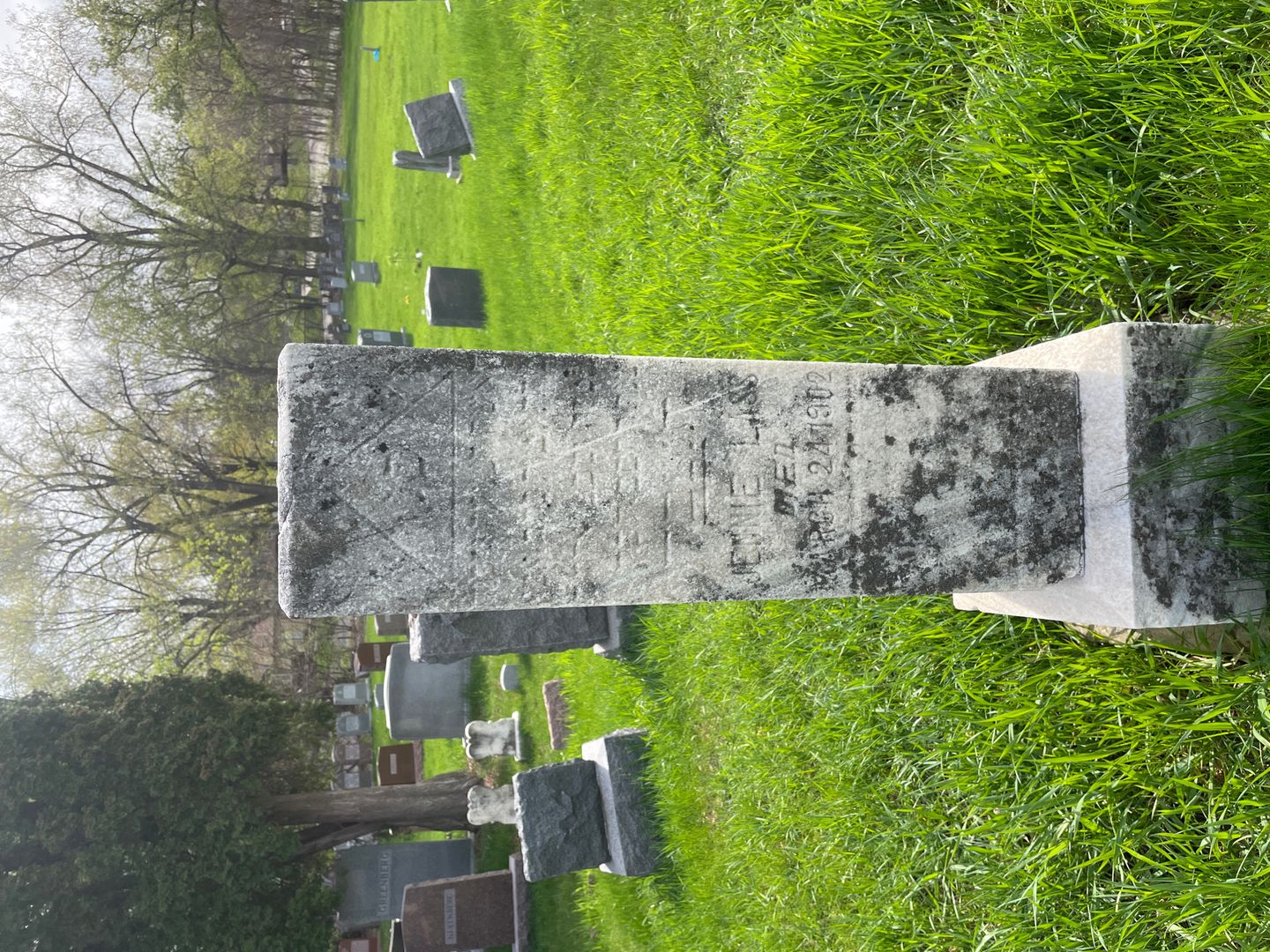 Jennie Lass's grave. Photo 1