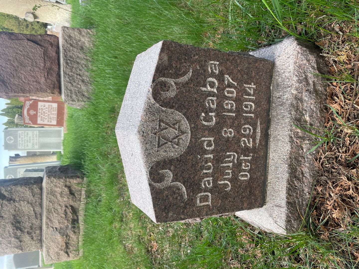 David Gaba's grave. Photo 1