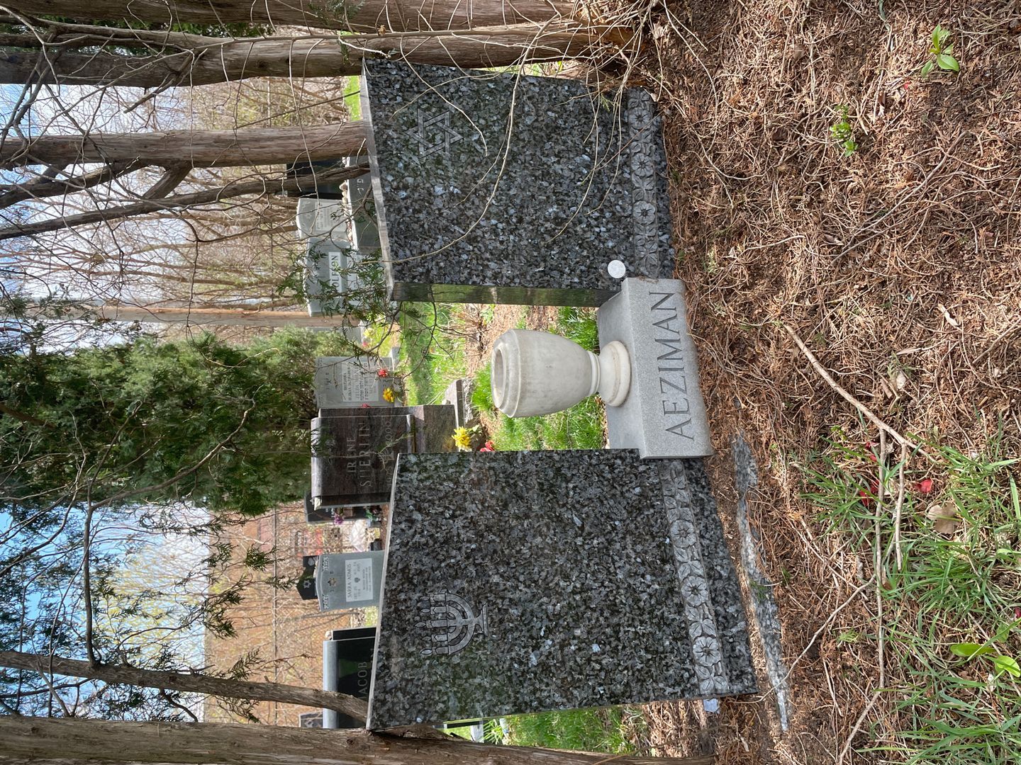 Albert Aeziman's grave. Photo 1