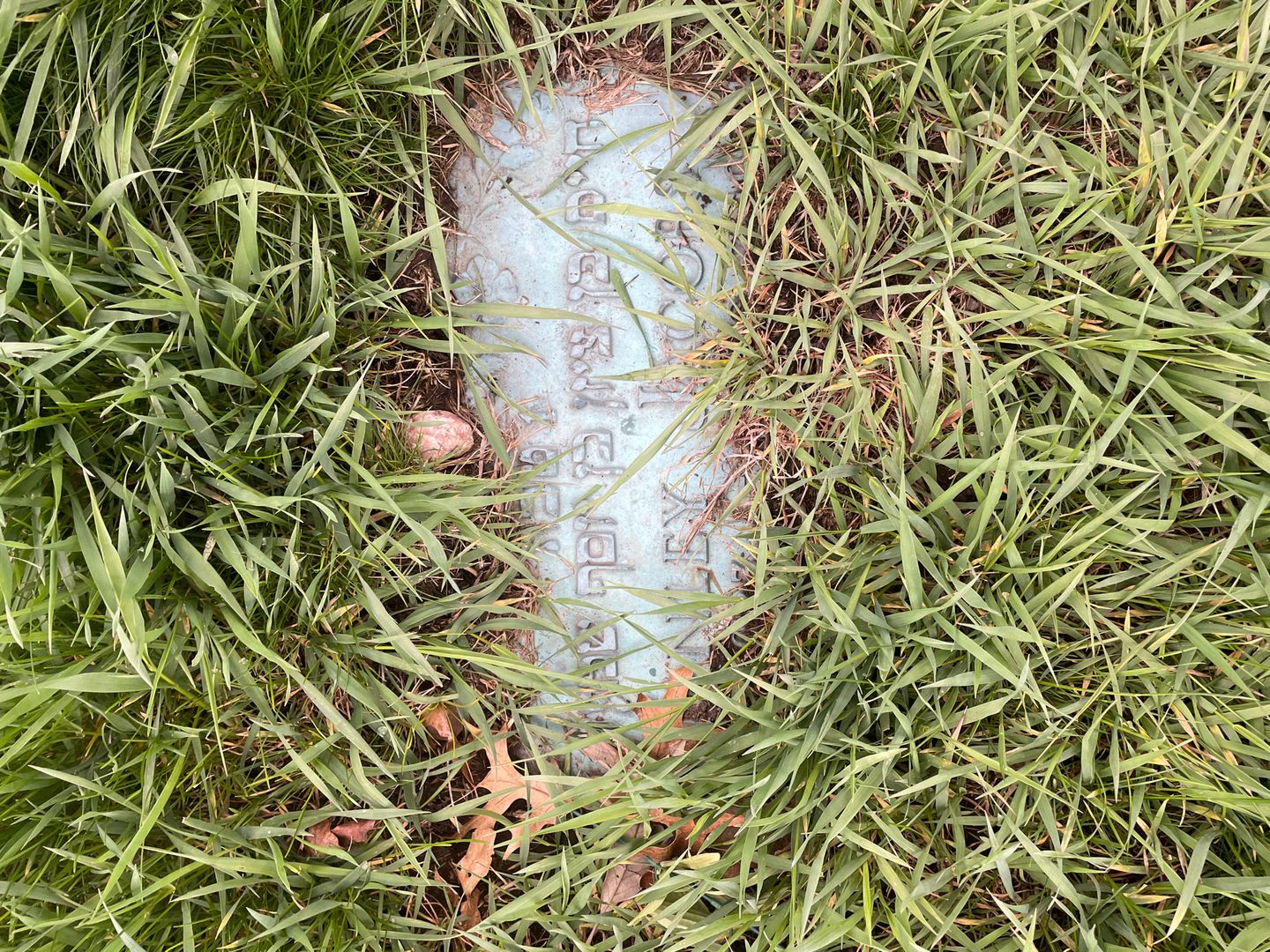 Stanley Jacobs's grave. Photo 1