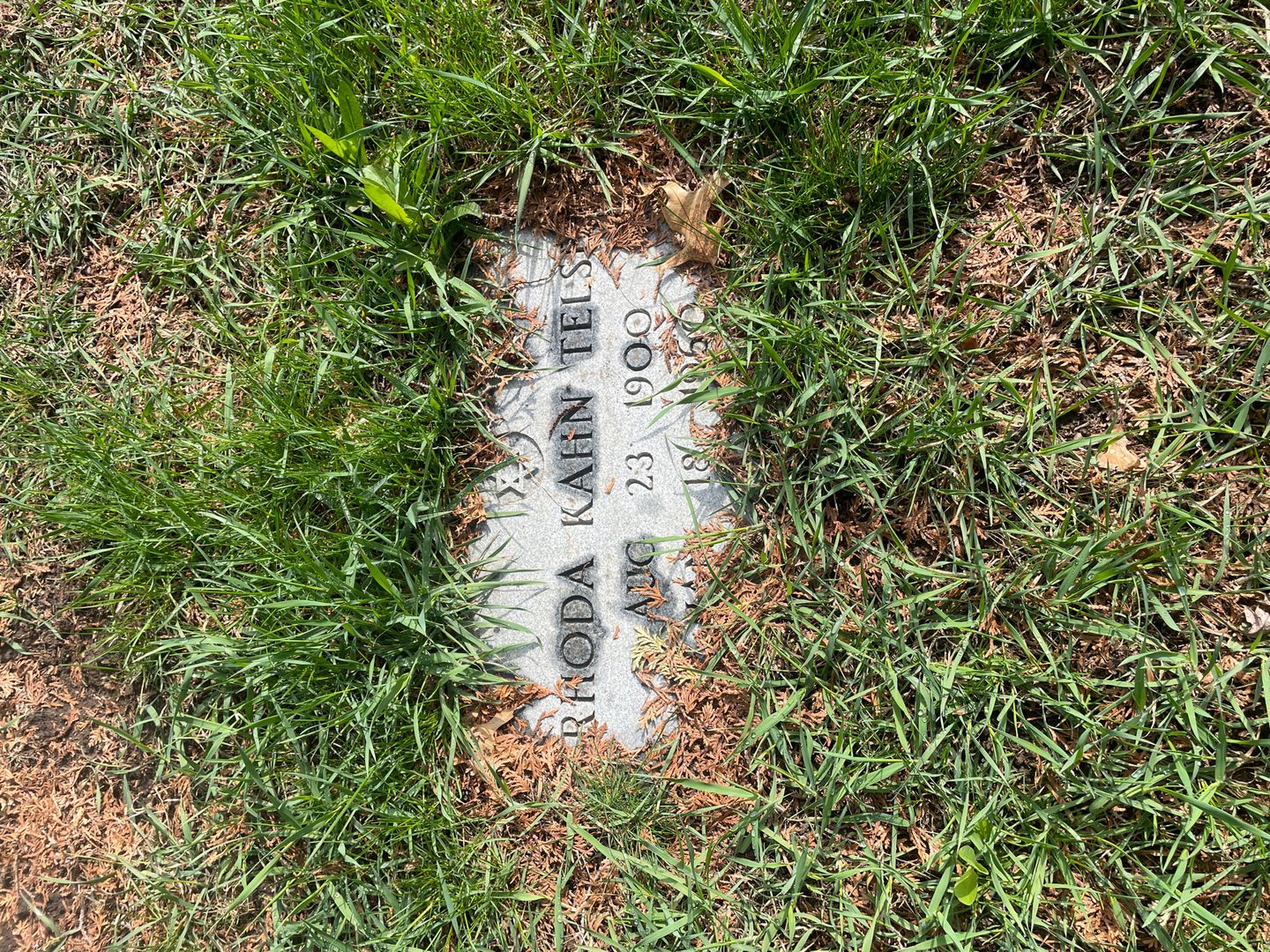 Rhoda Kahn Telser's grave. Photo 1