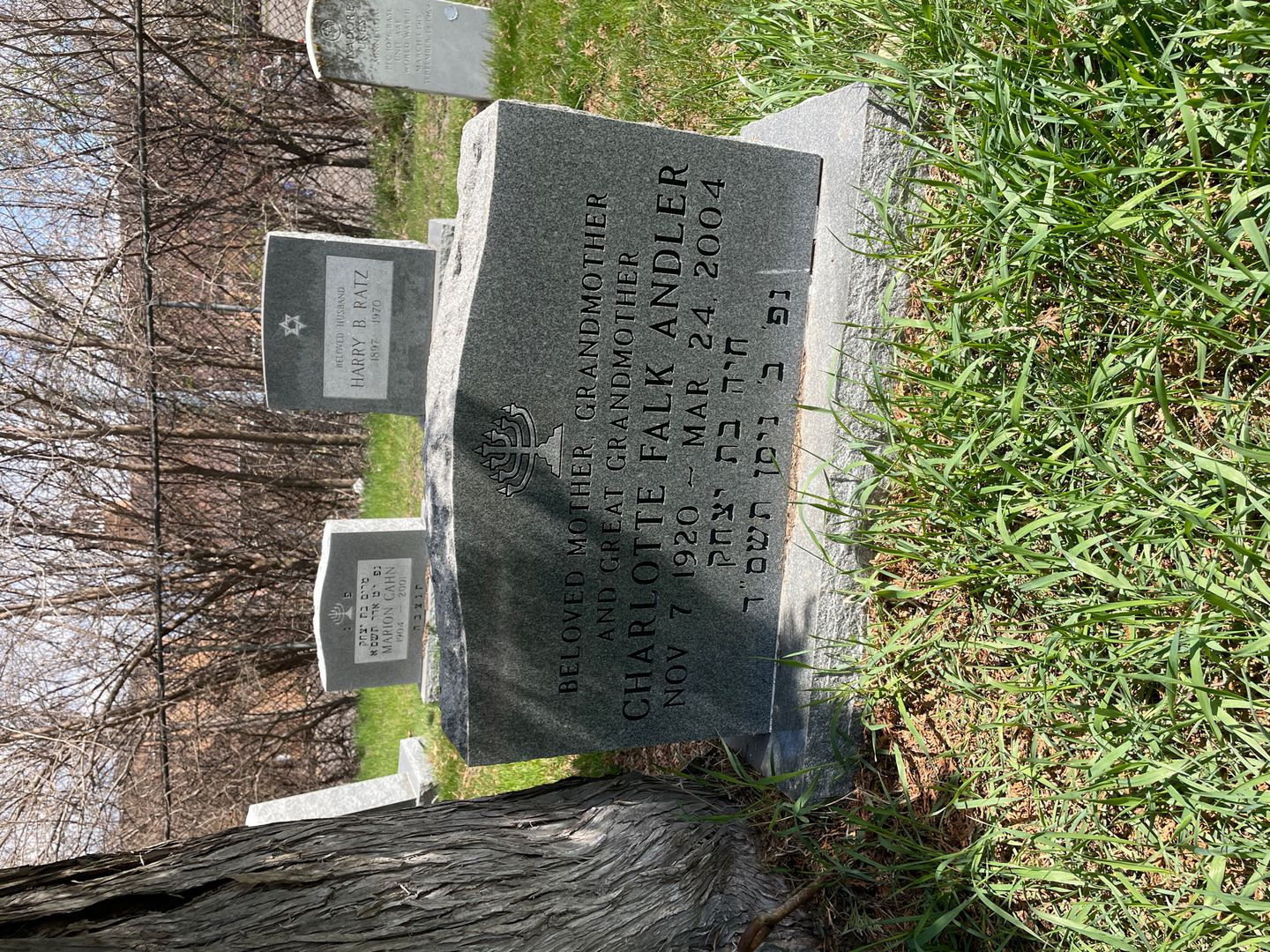Charlotte Falk Andler's grave. Photo 1