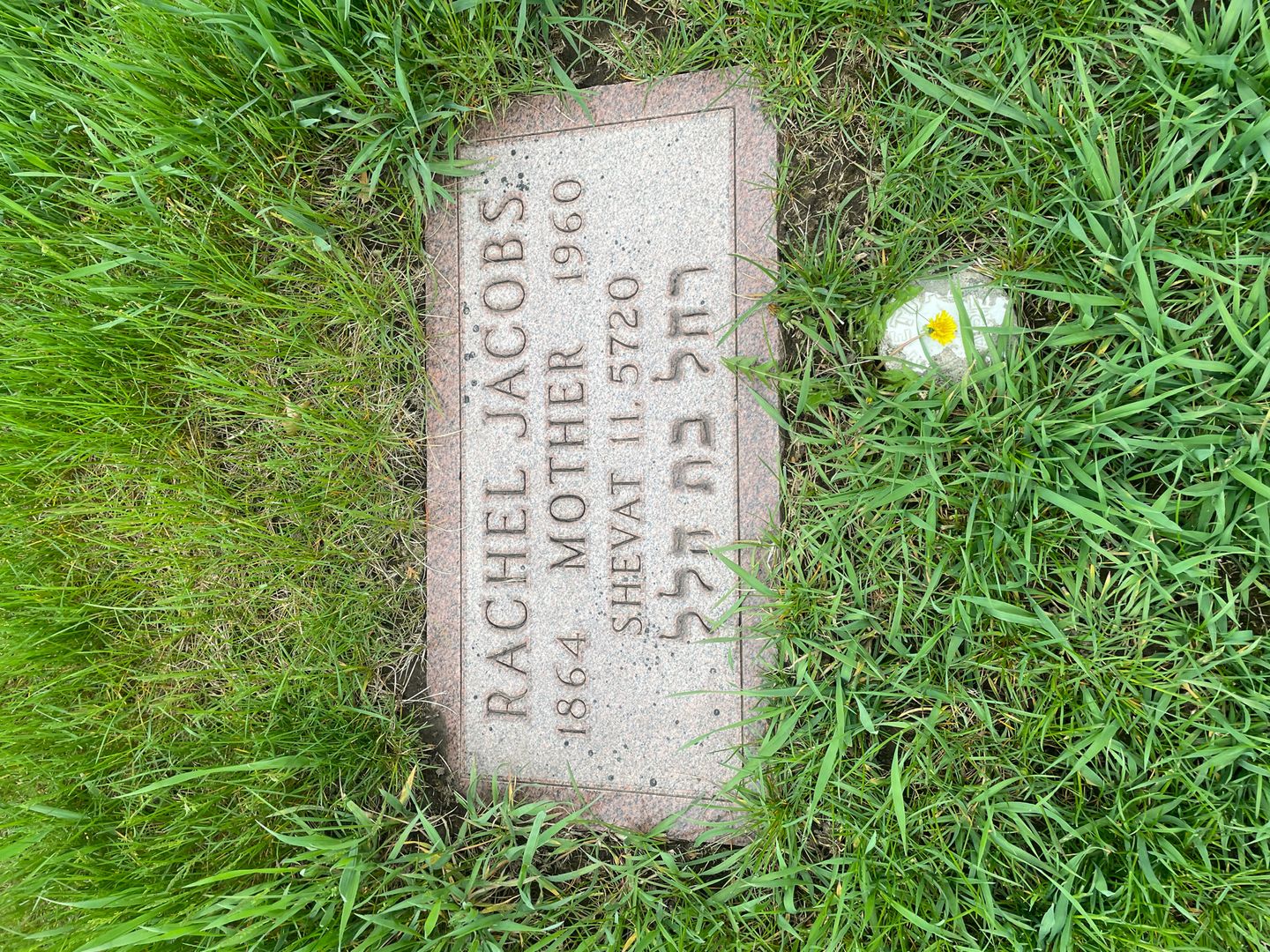 Rachel Jacobs's grave. Photo 1