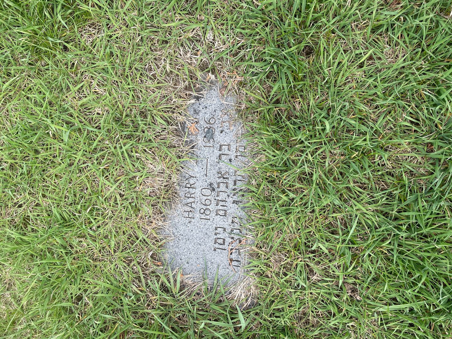 Harry Jacob's grave. Photo 1