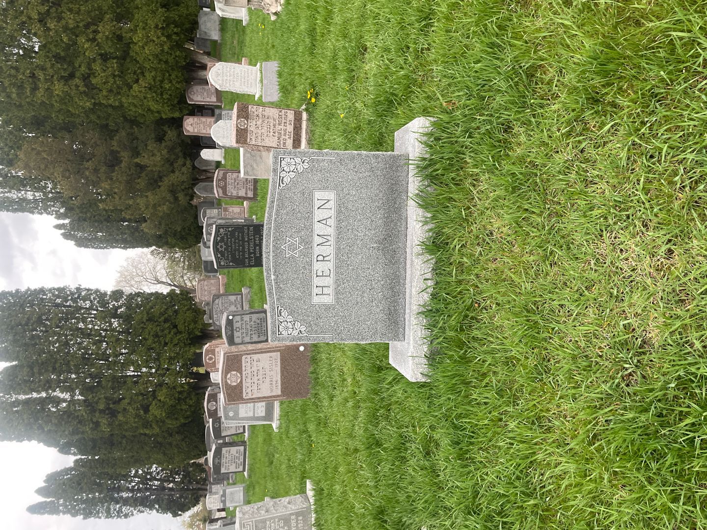 Max Herman's grave. Photo 1
